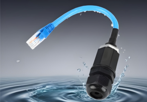 cáp ethernet ngoài trời